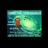 2017-04-16 Connecting Consciousness Simon Parkes QA Easter
