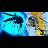 Florida Activist Who Fought Release of GM Mosquitoes Found Dead in Hotel Pool