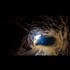 Egypt begins flooding tunnels linking Gaza to Sinai