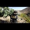 DEA Spent $18 Million of Taxpayer Money to Destroy Illegal Cannabis Operations