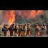 30 Percent of California's Forest Firefighters Are Prisoners -