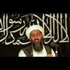 'Good Kid': Bin Laden's Mum Claims Son Was 'Brainwashed' at Saudi University