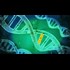 Oopsies: Gene Editing Now Admittedly Causes Hundreds of Mutations (Truthstream Media)