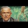 New Memo To Prosecutors Reveals Law Allowing Govt To Execute Legal Marijuana Growers