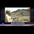 Terrorist training camps in the U.S?