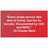 The Previous Flu Vaccines Cause the Symptoms Activated by Frequency Modulation... It is not Wuhan V!