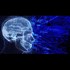 Brain Connected to the Internet for the First Time! (The Daily Sheeple)