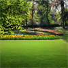 Why We Have Grass Lawns?