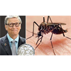 BILL GATES THREATENS THE ENTIRE U.S.A. (RichieFromBoston)