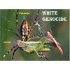 #WhiteLivesMatter