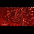 INVESTIGATION: Three days before Dr. Bradstreet was found dead in a river, U.S. govt. agents raided his research facility to seize a breakthrough cancer treatment called GcMAF