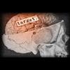 After Mass Shootings: Theyre Not Just Coming For Your Guns, Theyre Coming For Your Brain