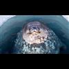 New Swabian Bases: The Secret Antarctic Colony