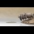 Never go too far to proove a point. [Animation]