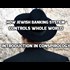 World wide conspiracy of the Jewish banking cabal