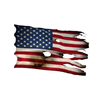Do Deep State Elements Operate Within the Protest Movement?