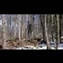 SHADOW PEOPLE are REAL - Evidence and Proof (Paranormal Supernatural)