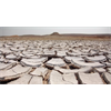 Sir David Attenborough at a UN Climate Summit in Poland Spoke of