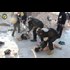 FALSE FLAG GAS ATTACK; TRUMP AT WAR WITH ASSAD AND PUTIN
