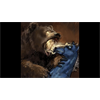 #515 How to Write a Myth - CURRENTLY LIVE