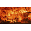 Shock and Awe California DEW Attacks - NWO Globalists can't believe they got away with so much mass murder & destruction, Americans must defend as their families are murdered, homes & towns destroyed
