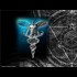 Fallen Angels: This Is the Evidence That Will Change the World! (Videos)