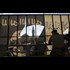 Daesh and the West's Solid Stench of Death (Pepe Escobar)