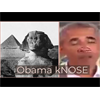 More Political Shenanigans In America/Obama's Real Birth Certificate