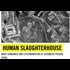 Amnesty International Claim On Syria Hangings Lacks Evidence