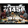 Joe Rogan podcast