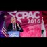 Discredited Neocons From The Bush Era Floated as US Foreign Policy Advisors to Trump