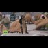 video: Illuminati opening ceremony of Gotthard Base Tunnel?