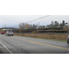 Rolling HOWITZERS ALL OVER NORTHEAST DNA passports!! (RichieFromBoston)