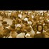 1000's African migrants Tijuana Mexico Appear suddenly(needs verification)