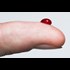 Blood from human teens rejuvenates body and brains of old mice