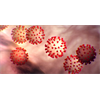 The COVID-19 virus may have been in humans for years, study suggests
