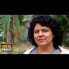 Honduran Exec Who Threatened Berta Caceres Arrested for Her Murder