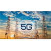 Did A 5G Experiment Test In The Hague, Netherlands, Prove Fatal To Birds In Trees?