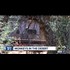 Monkeys still living in abandoned Mesa monkey farm?