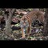 20 Animals Near Extinction in the Wild!