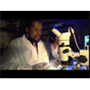 Atrazine: Chemical Used to Chemically Induce Homosexuality & Sexual Confusion