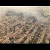 Unburned trees next to burned down structures as evidence of secret