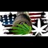 Feds Threaten D.C. Officials with Prison If they Go Through with Pot Legalization on Thursday