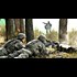 Army Major: U.S. To Detain Antiwar Dissenters In FEMA Camps