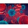 Who Made Coronavirus? Was It the U.S., Israel or China?