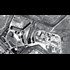 13,000 people hanged in secret at Syrian prison, Amnesty says