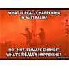 What is Really Happening in Australia, David Icke Hops Aboard the 200 Arsonists Bandwagon - In contempt of evidence the Australian bushfires like the wildfires that devastated Paradise CA were by DEW!