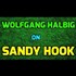 Wolfgang Halbig ANSWERS THE CRITICS! Sandy Hook