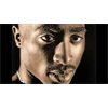 2pac in expose of Cointelpro's infiltration of Pro-Black movements: