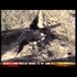 9/11 Flight 93 Crater - Rare Close Up From Above (NBC Helicopter)